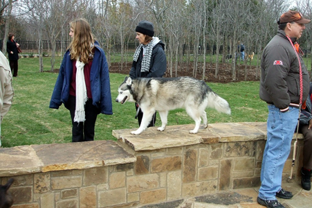 Wagging Tail Dog Park Opening 33.JPG